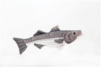 STRIPED BASS 10"