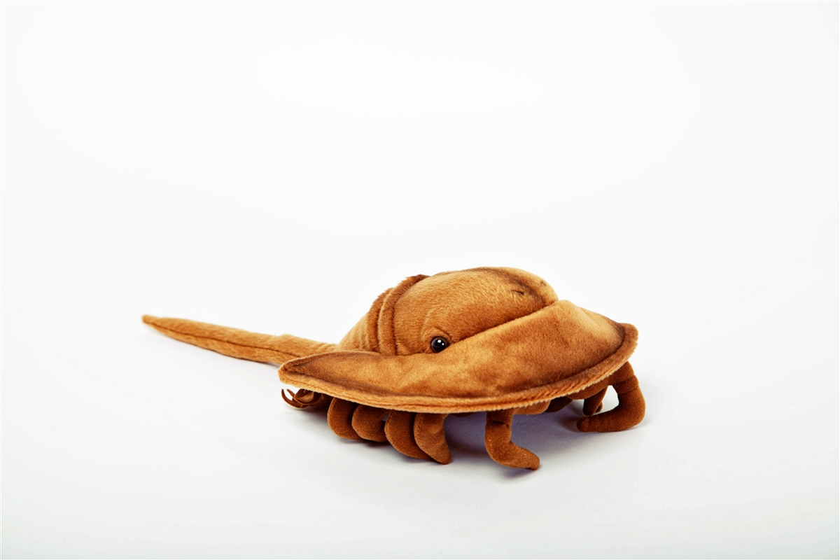 Horseshoe Crab Plush 