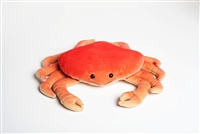 DUNGENESS CRAB 12"