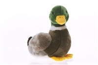 MALLARD  10"